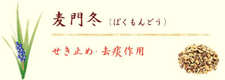 ~i΂Ƃjǂ߁Eႍp