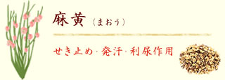 i܂jǂ߁EEAp