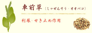 ԑOiႺ񂻂EIIoRjAEǂߍp